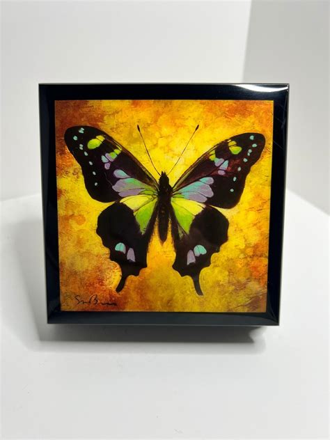 Vintage Butterfly Music Box 